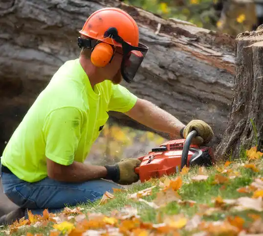 tree services Lake Ozark